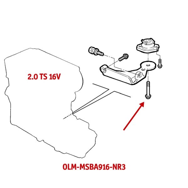 OLM-MSBA916-NR3